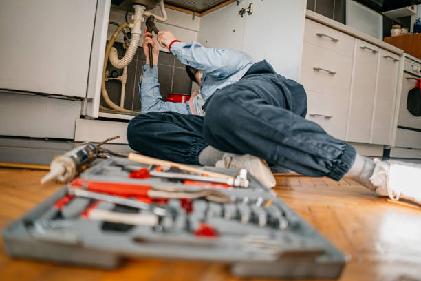Best Toilet Repair Services  in Lemon Grove, CA