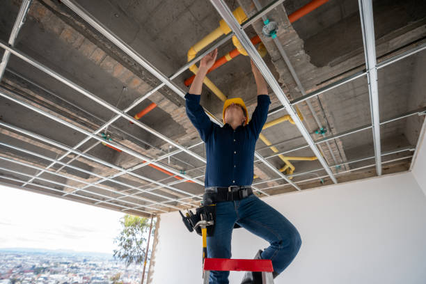 Best Drain Cleaning Services  in Lemon Grove, CA