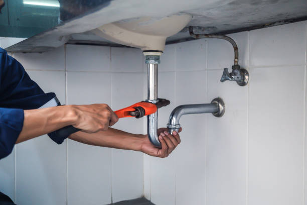Best Plumbing Services Near Me  in Lemon Grove, CA