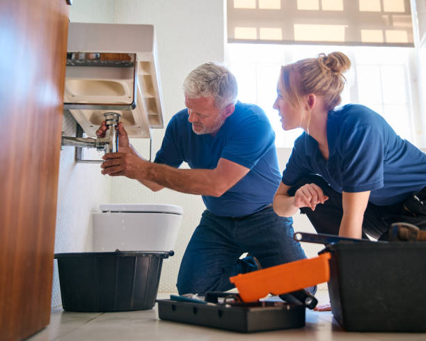 Best Plumbing Repair Near Me  in Lemon Grove, CA